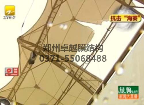 電視報道的在臺風作用下被破壞的看臺膜結構